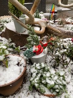 雪の花壇