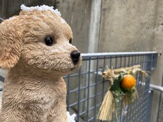 見送る番犬君