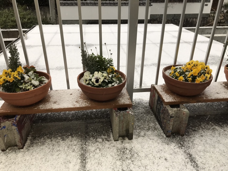 雪の中の作業