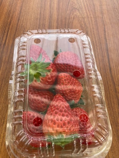 収穫したいちご